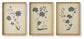Huddwick - Wall Art Set (Set of 3) - Linen / Black
