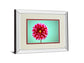 Zenia By Gail Peck - Mirror Framed Print Wall Art - Pink
