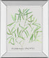 Asparogus Falcatus By Katrien Soeffers - Mirror Framed Print Wall Art - Green