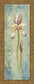 Floral Xi By Lee Hazel - Framed Print Wall Art - Light Blue
