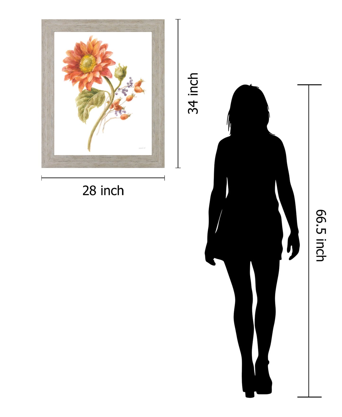 Sunlit Marigold - 28" x 34" Framed Wall Art - Orange