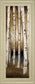 Birch Landing I By St Germain - Framed Print Wall Art - Beige