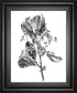 22x26 Hawthorn Berry Branch II By Emma Scarvey - Black