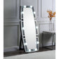 Noralie - 63" X 26" Floor Mirror With Faux Diamonds - Mirrored