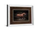 Stallion On Black By Edoma Photo - Mirror Framed Print Wall Art - Dark Brown
