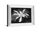 Magnolia Dreams I By Geyman Vitaly - Mirror Framed Print Wall Art - Dark Gray