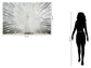 Tempered Glass With Foil & Rhinestones - Peacock - Gray