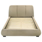 Mokena - Upholstered Platform Bed