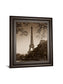 An Afternoon Stroll-pari By Maihara - Real Glass - Light Brown