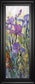Iris Field I By Tim Otoole - Framed Print Wall Art - Purple