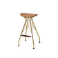 Dragea - Bar Stool Set of 2) - Whiskey Synthetic Leather & Gold