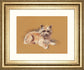 Andrew By Mac - Framed Print Wall Art - Beige
