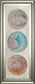 Planet Trio Il By Alicia Ludwig - Framed Print Wall Art - Beige