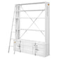 Cargo - Bookshelf & Ladder