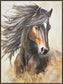 Windborne Stallion Hand-Embellished Canvas In Frame - Brown / Ivory