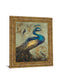 Peacock On Sage I By Tiffany Hakimipour - Framed Print Wall Art - Beige