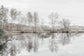Taupe Water Mirror By Irene Weisz - Gray