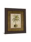 Potted Palm Il - Framed Print Wall Art - Light Brown