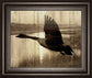 Journey By Tania Bello - Framed Goose Photo Print Wall Art - Light Brown