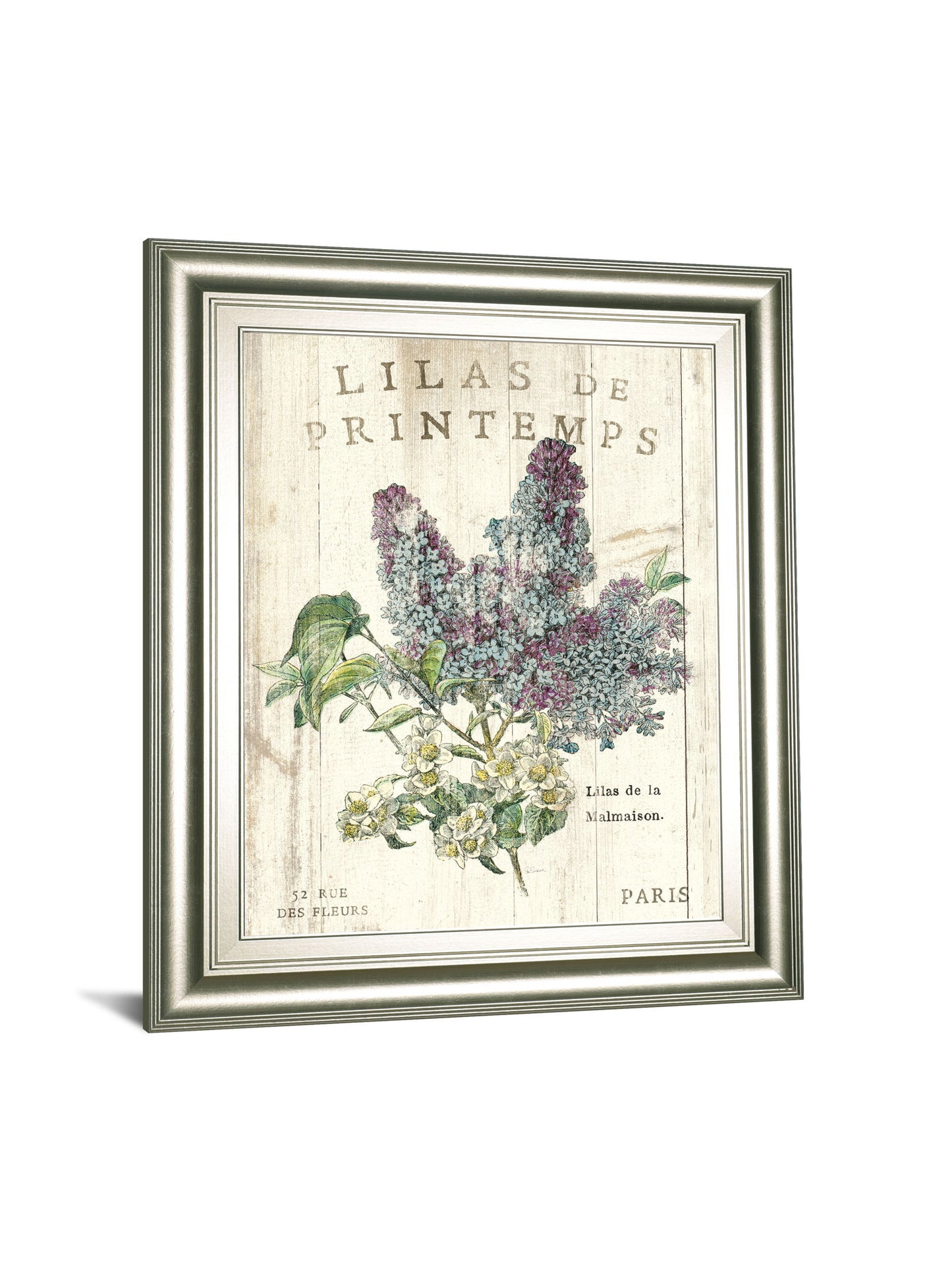 Lilas De Printemps By Sue Schlabach 22x 26 - Beige