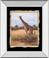 Giraffe - Mirror Framed Print Wall Art - Beige