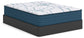 Limited Edition Plush 3.0 - Mattress