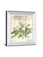 Magnolia De Printemps By Sue Schlabach - Mirror Framed Print Wall Art - Beige