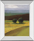 Field Of Light By Judith D'agostino - Mirror Framed Print Wall Art - Green