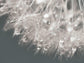 Droplet In Time II By Lori Deiter (Framed) - Gray