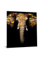 Floating Tempered Glass With Foil Elephant - Black
