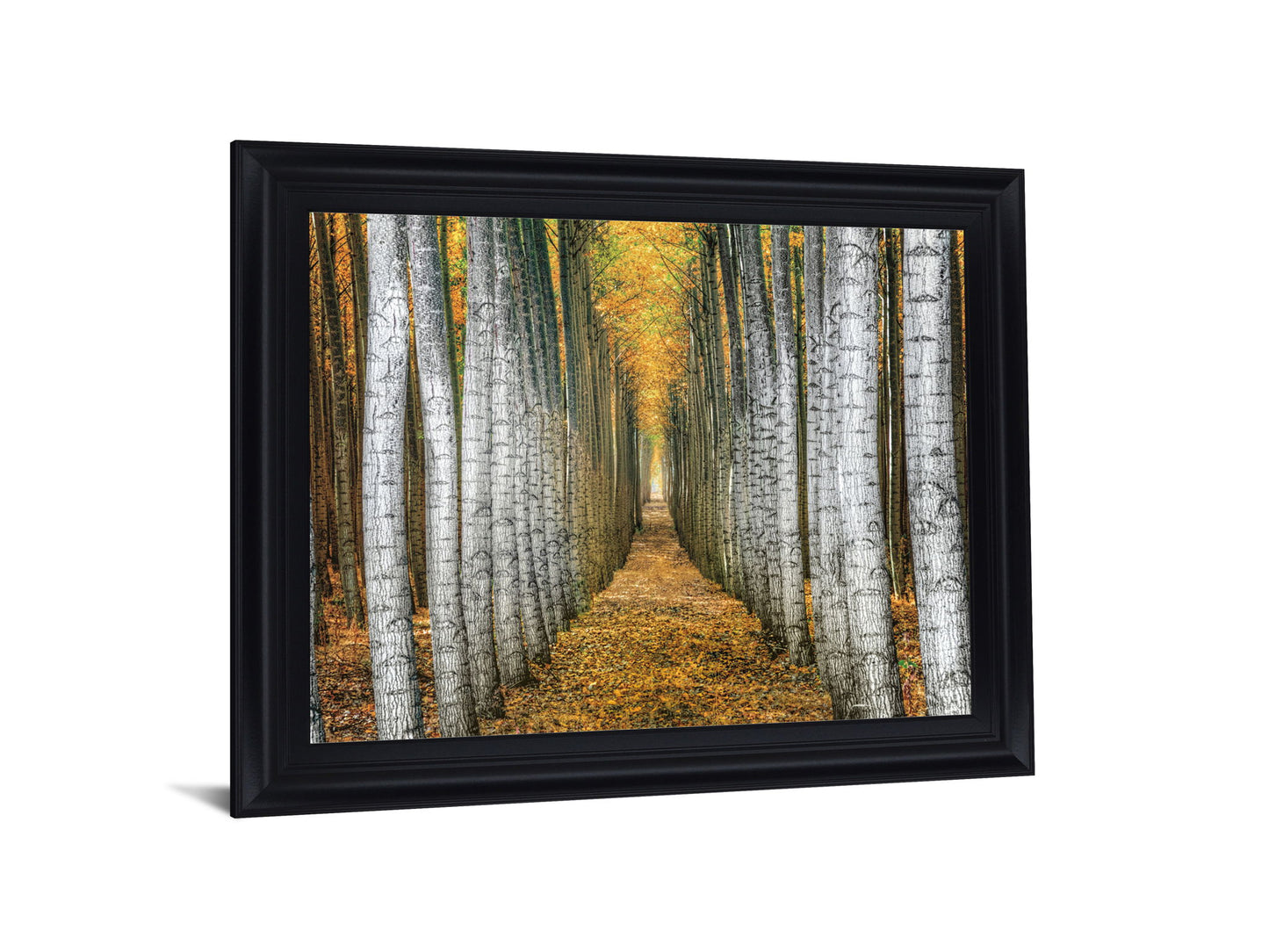 Golden Birch Passage - 28" x 34" Framed Wall Art - Yellow