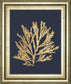Pacific Sea Mosses I Indigo By Wild Apple Portfolio - Framed Print Wall Art - Dark Gray