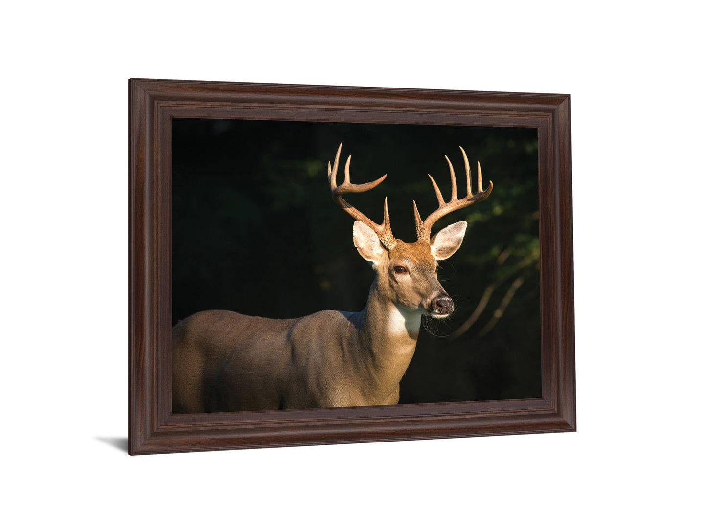 Forest Sentinel - 28" x 34" Framed Wall Art - Dark Brown