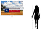 Tempered Glass With Foil - Txas Flag Barn - White