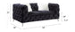 Phifina - Loveseat With 2 Pillows - Black Velvet