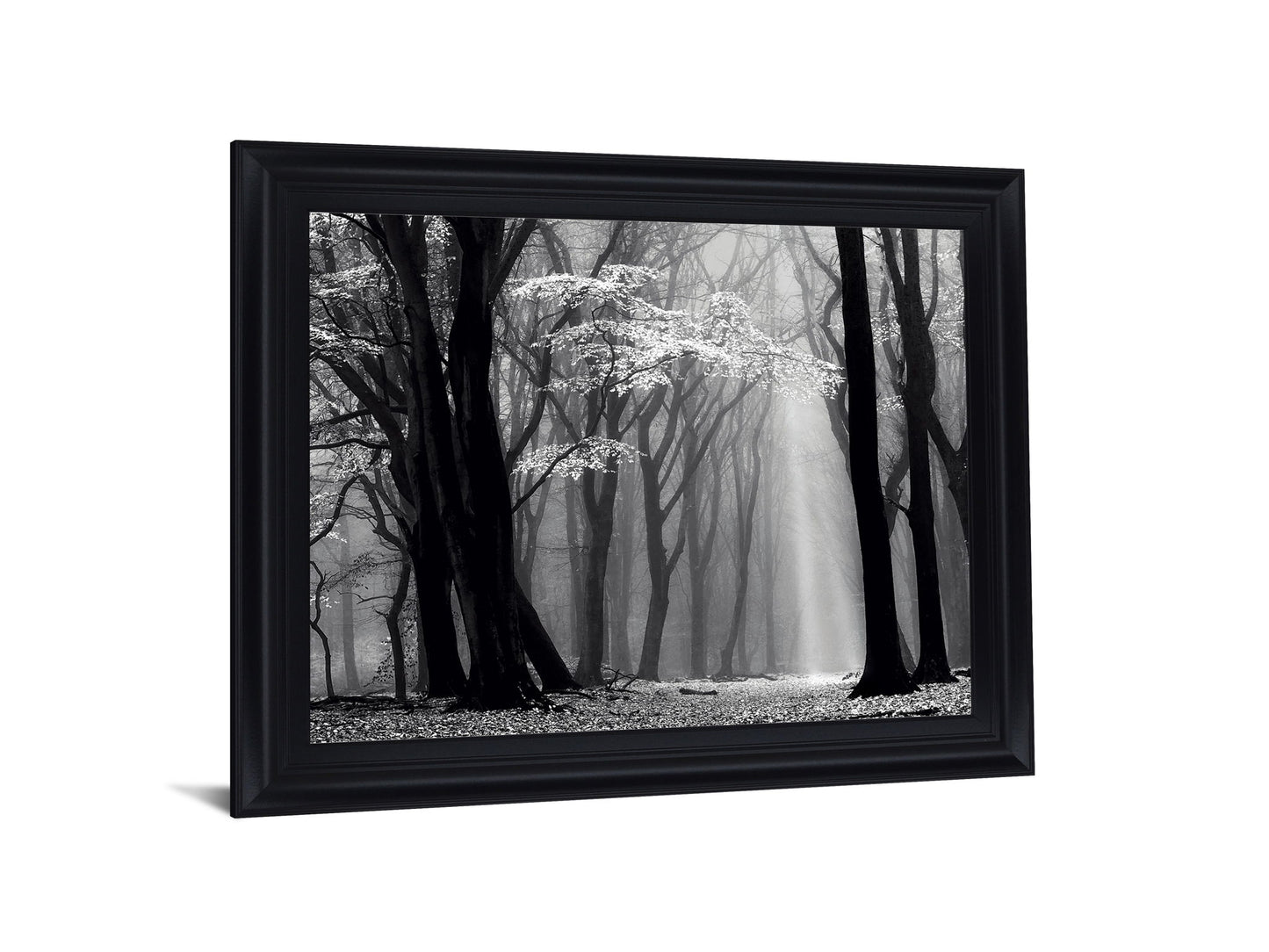 Silent Grove Shadows - 28" x 34" Framed Wall Art - Dark Gray
