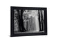 Silent Grove Shadows - 28" x 34" Framed Wall Art - Dark Gray
