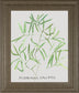 Asparogus Falcatus By Katrien Soeffers - Framed Print Wall Art - Green