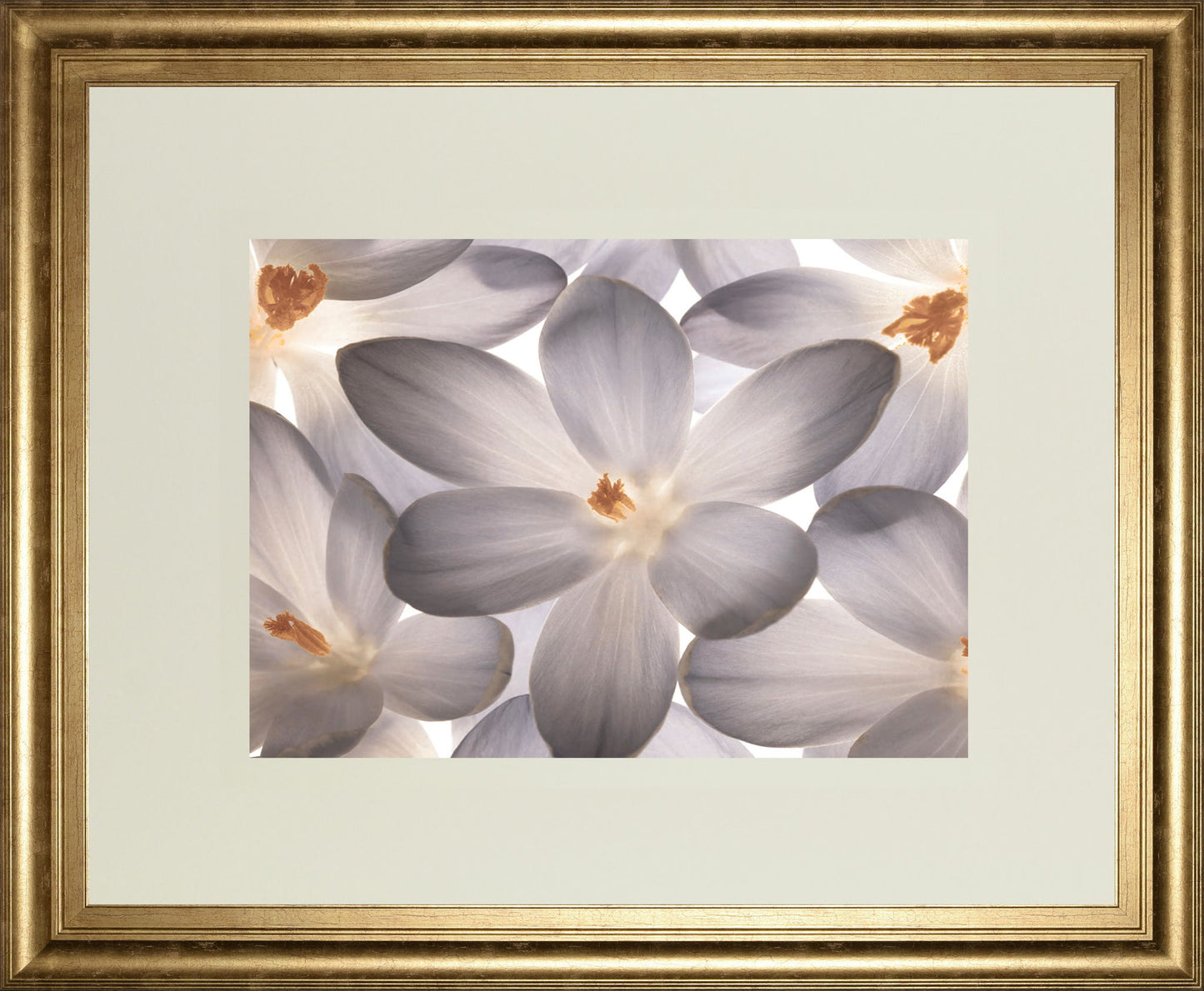 Petal Perfect By Assaf Frank - Framed Print Wall Art - Beige