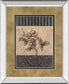 Rose Refined Il By Carol Robinson - Mirror Framed Print Wall Art - Light Brown