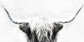 Framed Small - Longhorn By Danita Delimont - Dark Gray