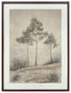 Fenngrove - Wall Art - Brown / Beige