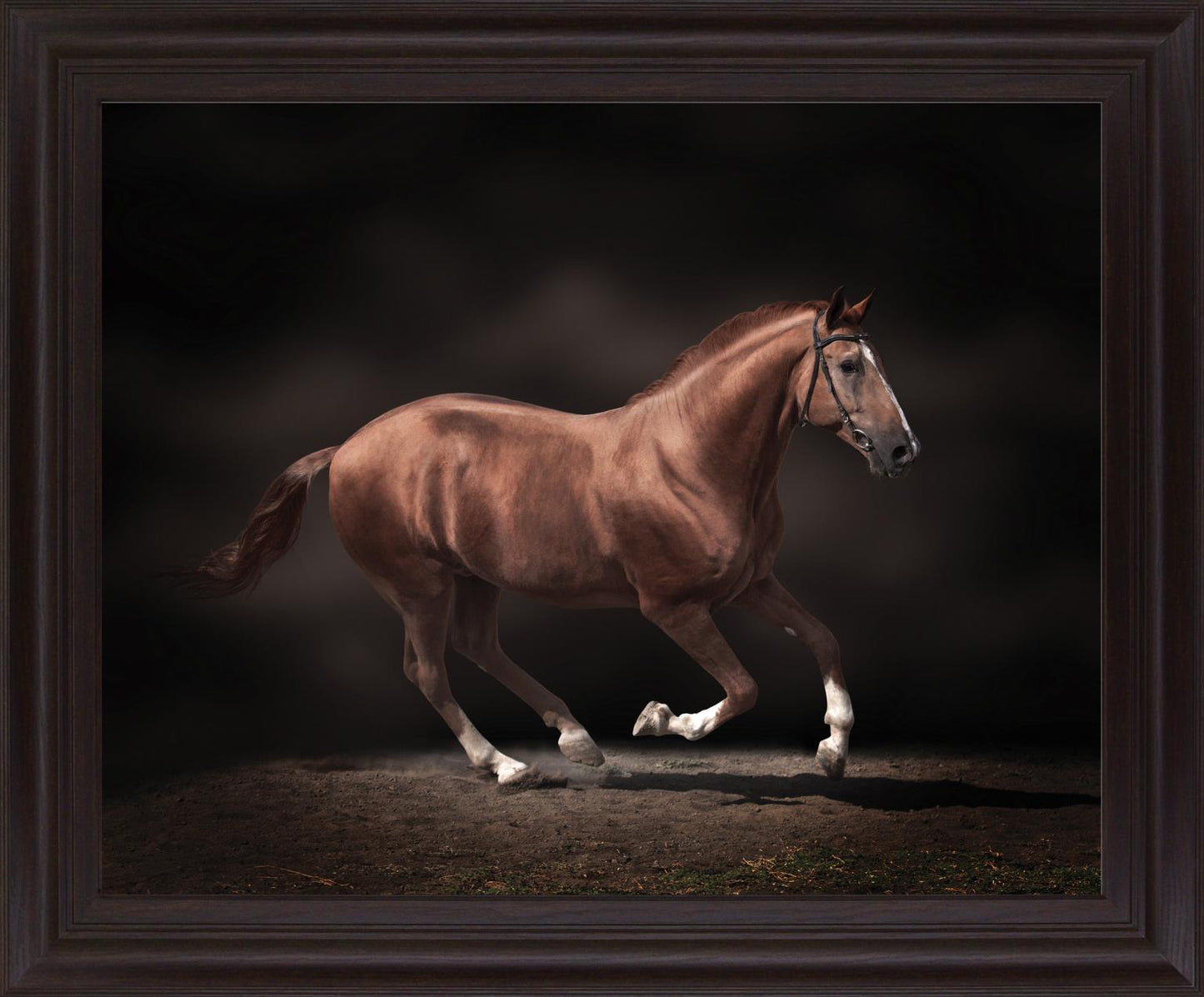 Chestnut Grace - 28" x 34" Framed Wall Art - Dark Brown