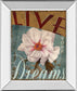 Live Your Dream By Kelly Donovan - Mirror Framed Print Wall Art - Dark Gray