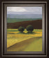 Field Of Light By Judith D'agostino - Framed Print Wall Art - Green