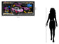 Glitzy Racer Dream - 28" x 63" Framed Wall Art - Black