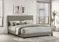Dorian - Upholstered Panel Bed