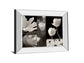 Summer Garden Il By Dennis Frates - Mirror Framed Print Wall Art - Dark Gray