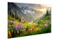 Alpine Wildflower Misty Tempered Glass - Green / Gold