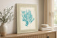 22x26 Aquamarine Seaweed IV By Vision Studio - Light Blue